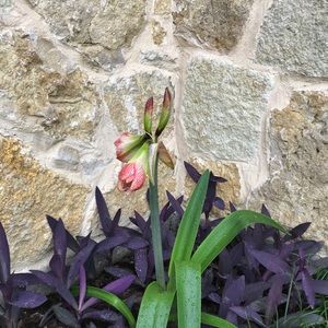 Meet your Posher, Ann